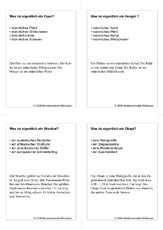 Quiz-Karten-Tiernamen 52.pdf